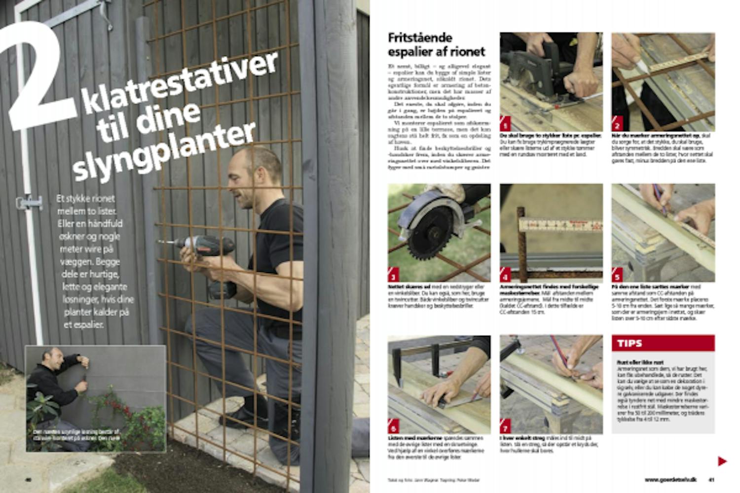 Hjemmelavet espalier på mur | Byg selv espalier | Wire espalier Hjemmelavet espalier på mur | Byg selv espalier | Wire espalier